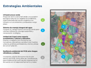PMPCIE 260209_Página_12