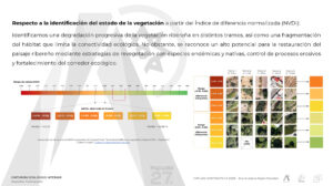 cinturon_ecologico_Página_10