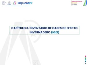 Diapositiva10