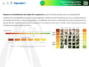 silao_Página_11