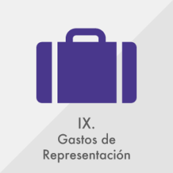 IX IX