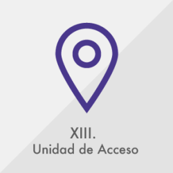 XIII XIII