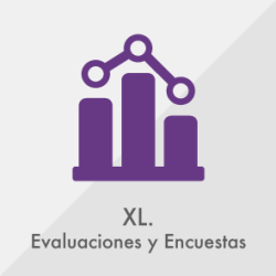 XL