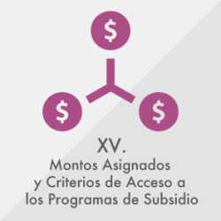 XV XV