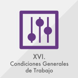 XVI