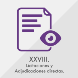 XXVIII XXVIII